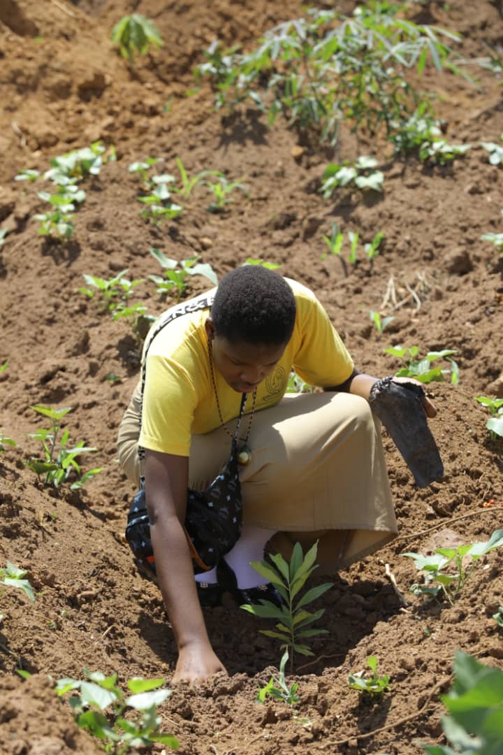 ROOTSUganda's tweet image. 🌳We cannot talk about tree restoration in Uganda without everyone playing their part.
🤝 Call +256782432048 to help us plant, 40m trees annually.   #RunningOutOfTrees #ROOTsInitiative #UgandaGreeningCampaign #Sustainability #TreePlanting #ProtectOurPlanet