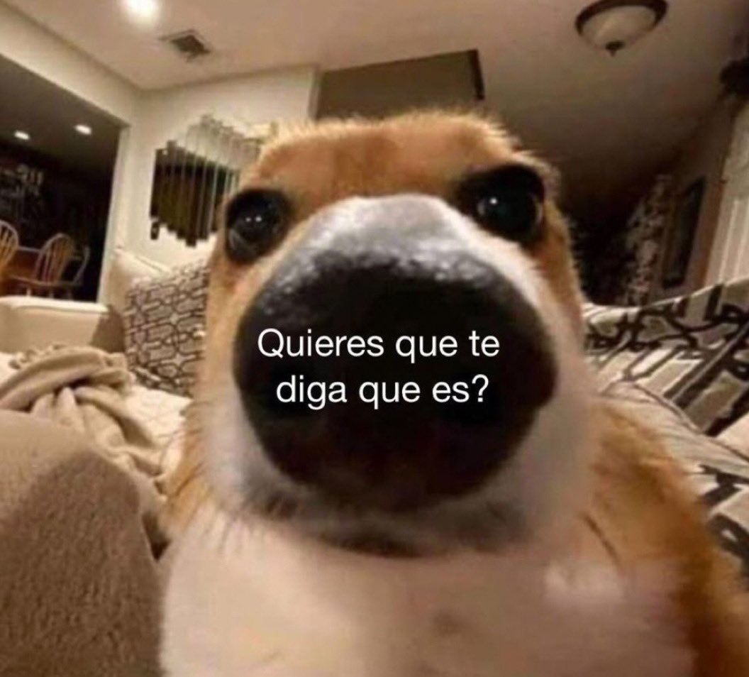 yo: *le compro un regalo a alguien*

yo a los 5 min: