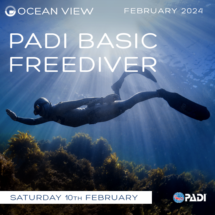 oceanviewdiving's tweet photo. PADI Basic Freediver Course

We will be running the PADI Basic Freediver course on Saturday 10th February 2024 

Give us a call on 01903 767224
or email us at info@oceanviewdiving.co.uk

https://t.co/Spn1muYR0r

#oceanviewfreediving   #padibasicfreediver https://t.co/UUJGykF3OG