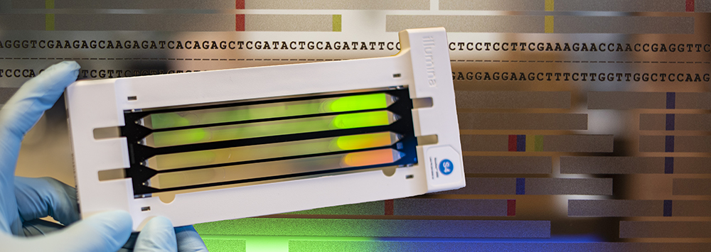 We hope to help early career researchers further their careers by gaining funding in their own name and to generate pilot data that helps future fellowship or other applications - NEOF Pilot Funding for ECR opens 15Jan24 #genomics #metabolomics #proteomics neof.org.uk/our-capability…