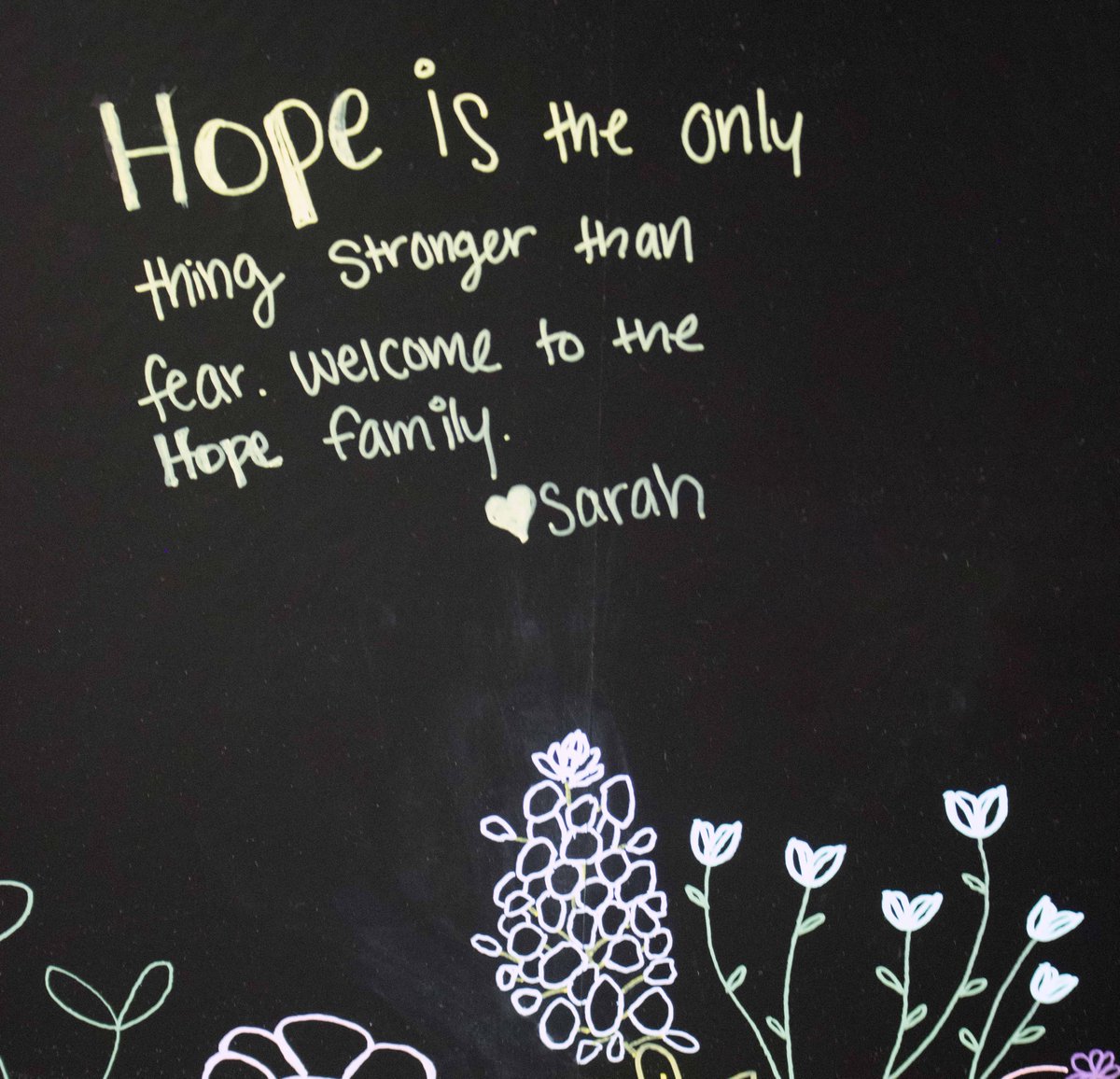 Hot take: “Hope is the only thing stronger than fear.” #scienceinservice #mondaymotivation #hope