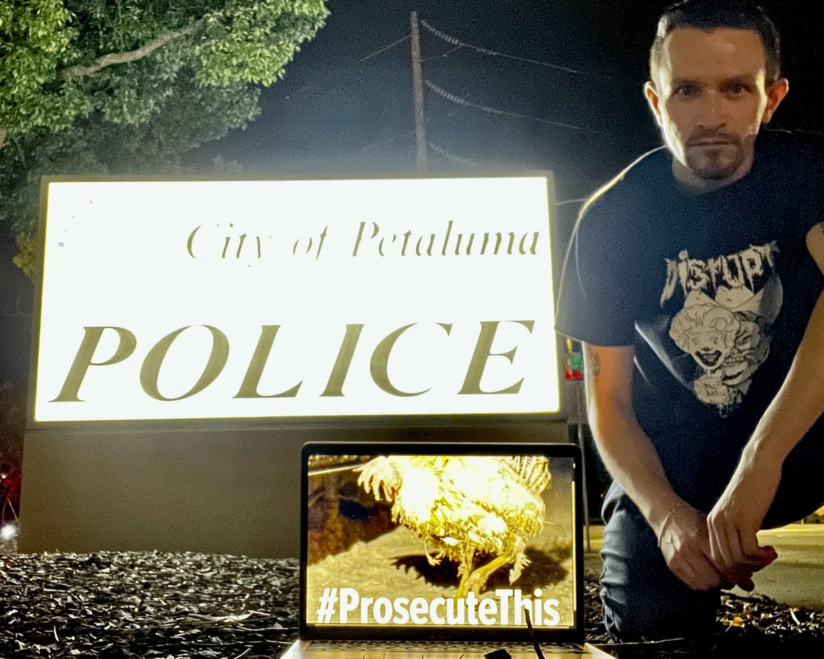 PoopsMcGoops's tweet image. @SonomaCoDA  Undeniable evidence of criminal cruelty was withheld from a jury(BRADY VIOLATION) 
and it makes me question if that was done for sake of aiding and abetting Reichardt and Sunrise&apos;s criminality. Ms. Rodriguez, #ProsecuteThis to prove me wrong.