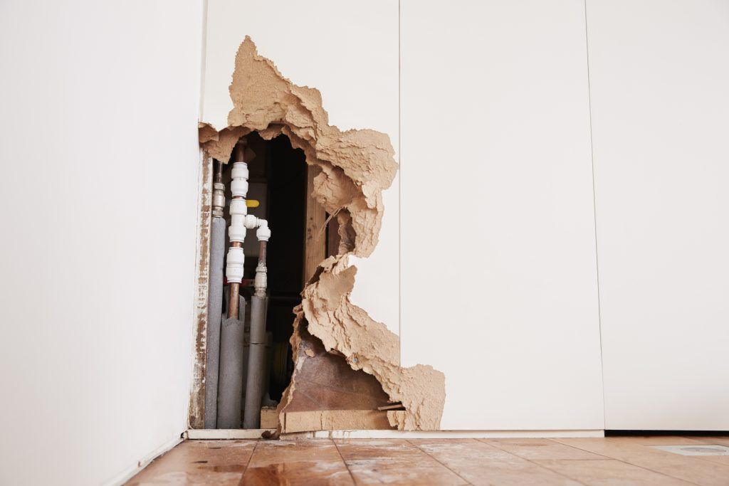 BranchServices's tweet photo. What do you do when you have flood damage?
#branchservices #longisland #flood #flooding #damage #cleanup #diy #home #house
https://t.co/k9FDIJudhP https://t.co/VrAXKcM4f4