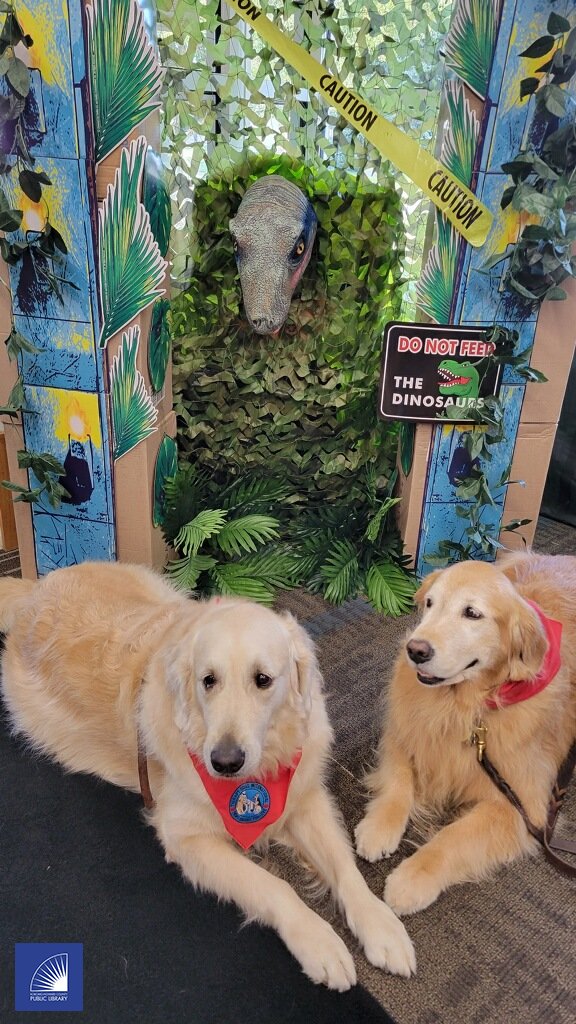 You know these two trained therapy dogs are real pros when they can stay calm when dinos are on the loose. 

#Dinovember