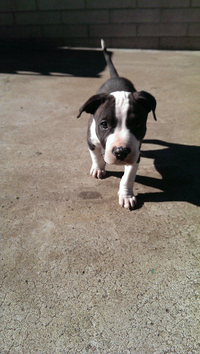 Branisha Newberry tweet media