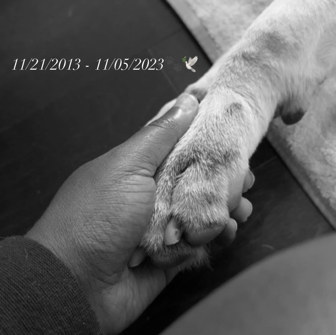 Branisha Newberry tweet media