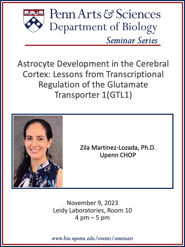 The brain is the most complex organ in our bodies, and <a href="/PennBiology/">Penn Biology</a> is excited to have @LozadaZila visit Penn this Thursday to discuss her research in this field. Watch for free in the link below via Zoom, Nov 9 at 4PM EST. 
bio.upenn.edu/events/2023/11…
