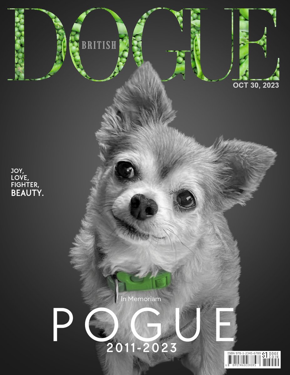 PetMagCovers's tweet photo. DOGUE Magazine featuring POGUE @HarrynPogue , as a humble tribute done in behalf of Lola Wigglebutt and all her many friends.
#DOGUE #Magazine #Cover #inMemoriam @LolaWigglebutt https://t.co/5u6zoU3VCl