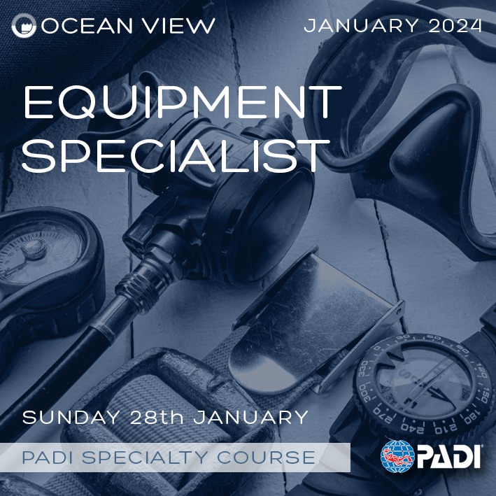 oceanviewdiving's tweet photo. PADI Equipment Specialist Course
Sunday 28th January 2024

Give us a call on 01903 767224
email us: info@oceanviewdiving.co.uk

https://t.co/MIeL32xy0u

#padiequipmentspecialist  #oceanviewdivingservices https://t.co/3yRZ9tuRa6