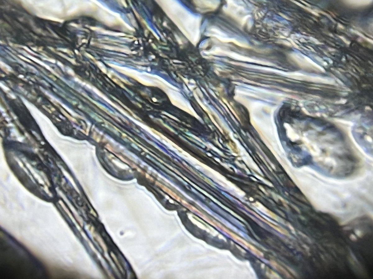 📣 New blog post! This "Foldscope Explores" blog is all about spiderwebs 🕸️

Full article at foldscope.com/blogs/blog --&gt; "Real spiderwebs are made of a natural protein called spider silk. This material is very thin, but very strong."

#blog #stem #outreach #education #explore