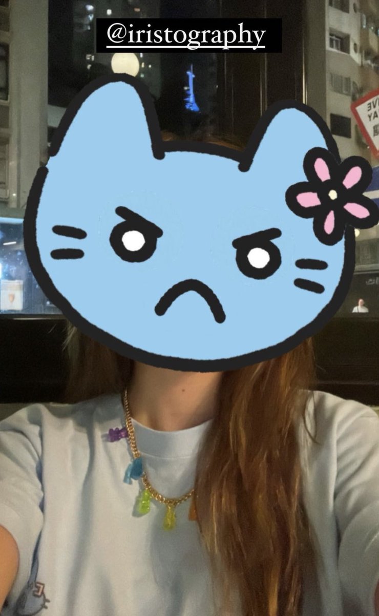 Iristography (the hotdog cat) tweet media