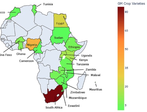 bdowduribe's tweet photo. Public Private Partnerships (PPPs) are hailed as a way to bring private biotech IPR to public researchers in Africa to create GM &amp; gene-edited crops for poor farmers. Our latest pub leverages a new data set to assess their extent &amp; performance #GMO 👇https://t.co/7AYuLKClro 🧵 1/ https://t.co/NkfZnFk6wp