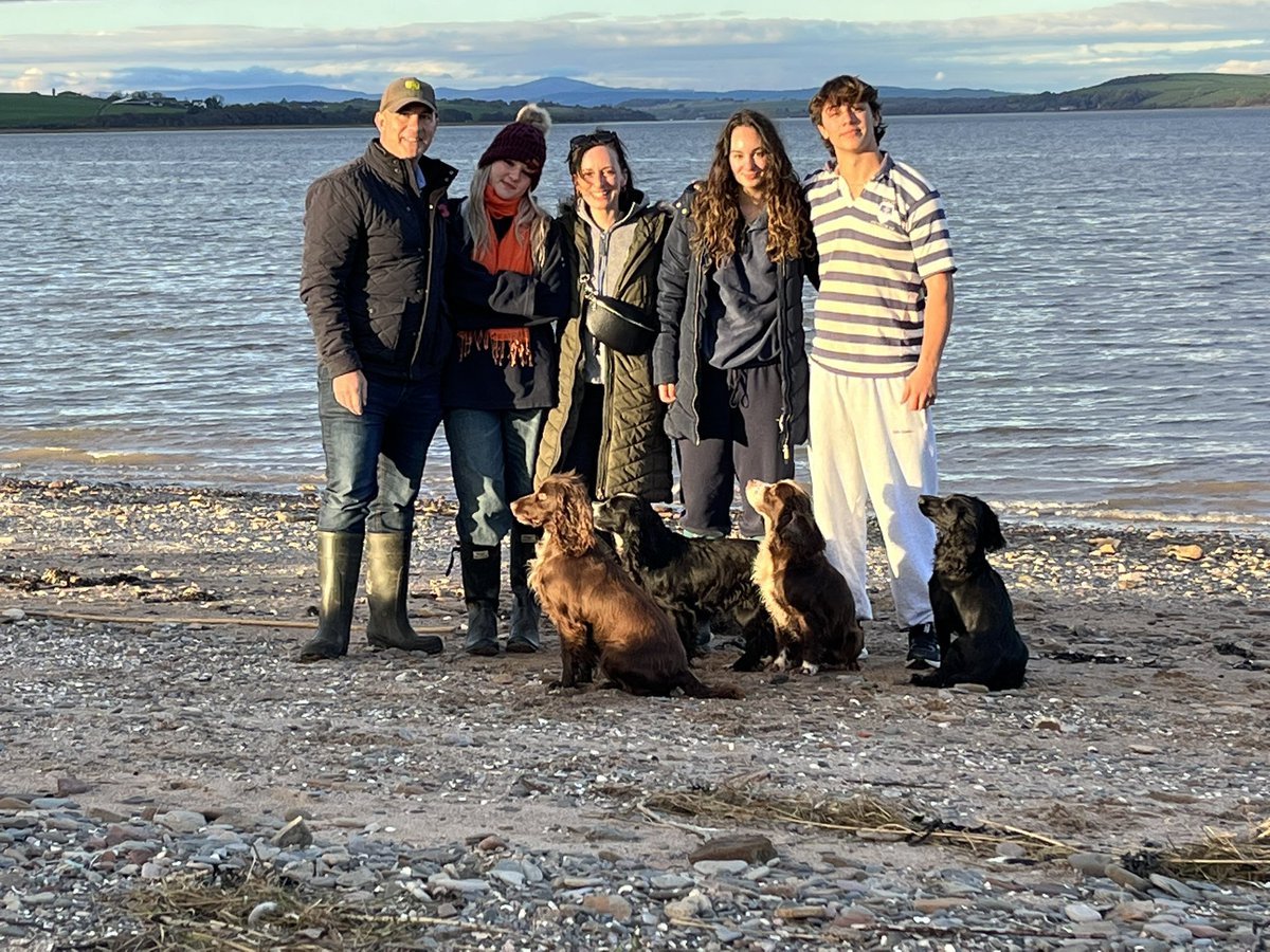 Chris Hattam tweet media