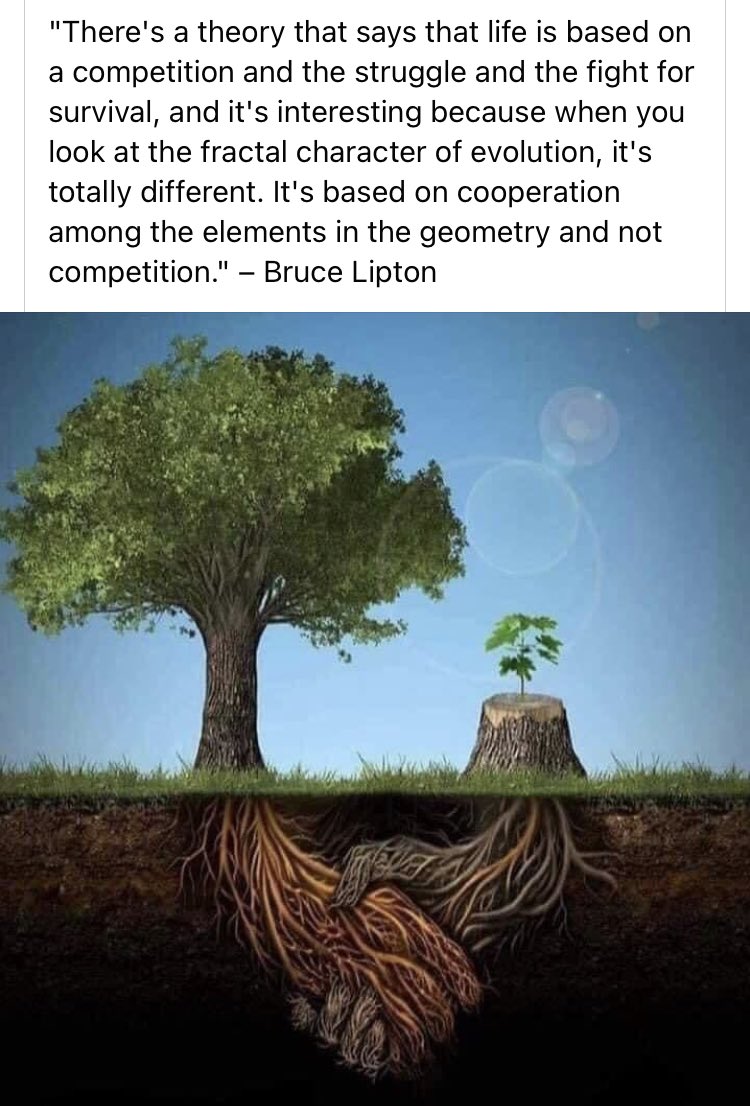 biologyofbelief's tweet photo. Share your thoughts at our Imaginal Cell Community @ https://t.co/xv2nISvJ6Z
🌱🌍 Embracing Evolution: Cooperation over Competition 🤝💡

#CooperationOverCompetition #UnityInDiversity #EvolutionaryWisdom #TogetherWeRise🚀🌟 #BruceLipton #BiologyofBelief #growth #weareone https://t.co/B4ibnP6cbj