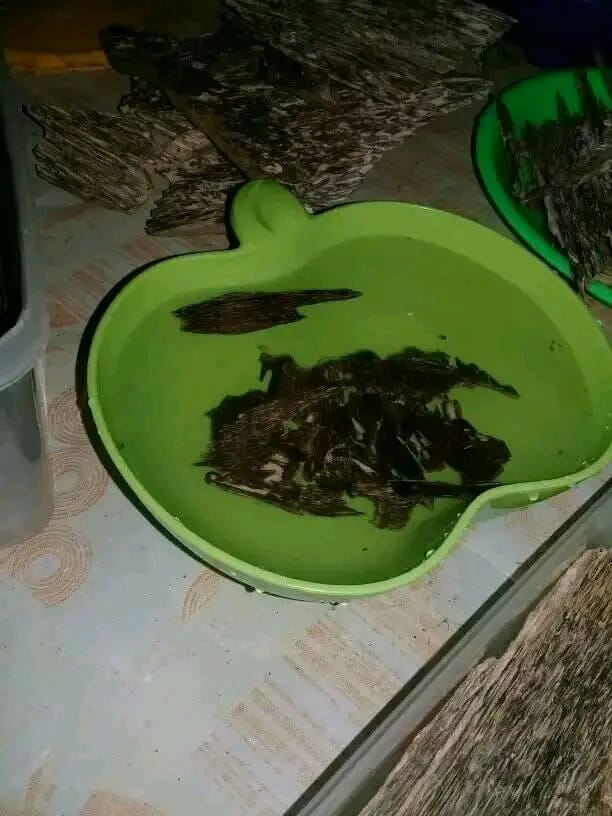 Benny Utomo tweet media