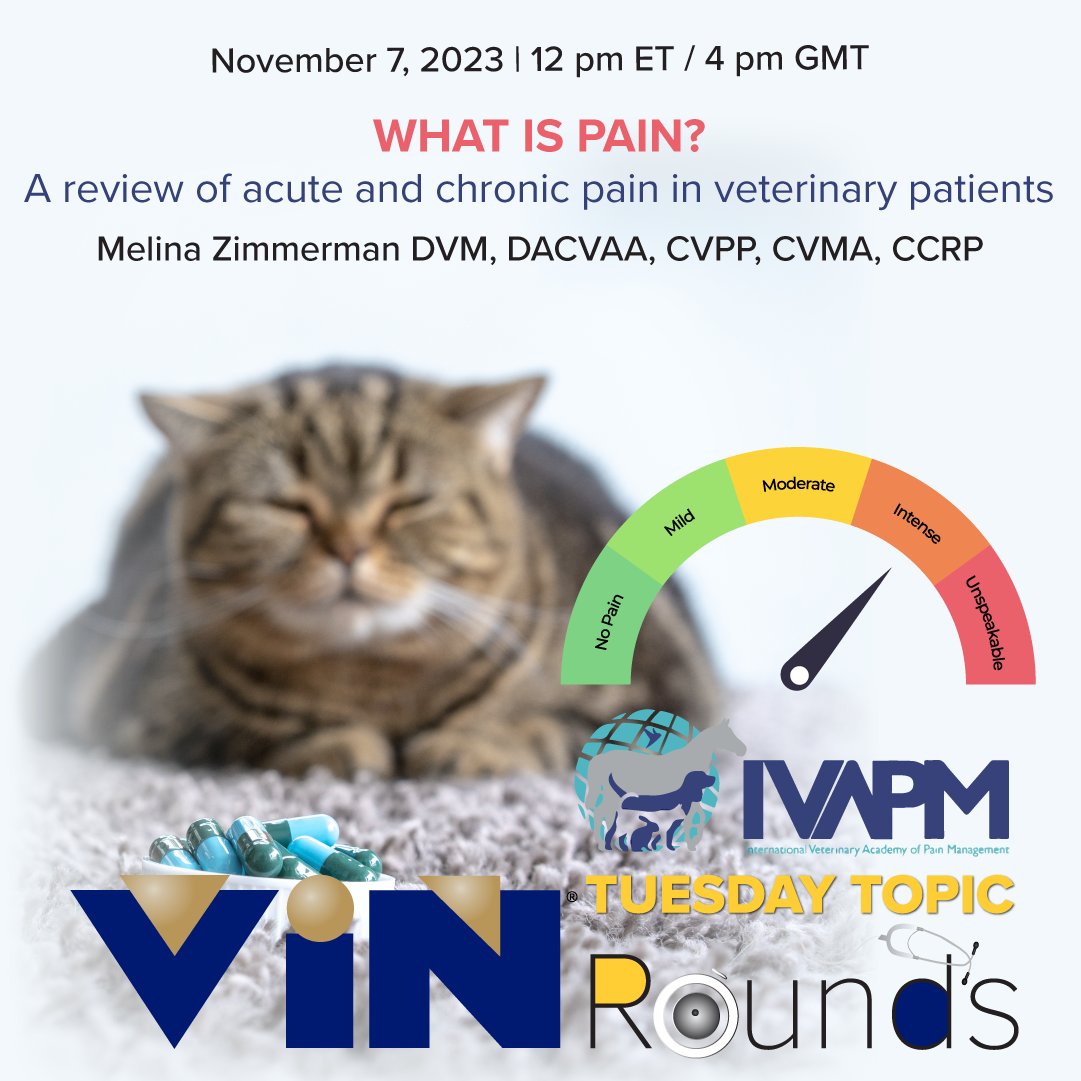 Show the doctor where it hurts. Join Dr. Zimmerman to discuss the mechanisms and pathways of pain and learn how to perform a pain assessment. vin.com/vinmembers/rou…