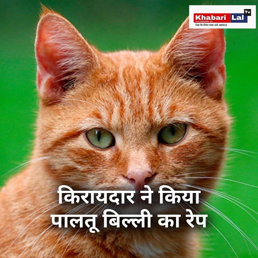 khabarilaltv's tweet photo. किरायदार ने किया पालतू बिल्ली का रेप
◆ उत्तराखंड के देहरादून की है घटना, पशु क्रूरता अधिनियम के तहत मामला दर्ज
#Dehradun | #CatRape #Uttarakhand | #khabarilaltv https://t.co/Pqf7JRi0RC