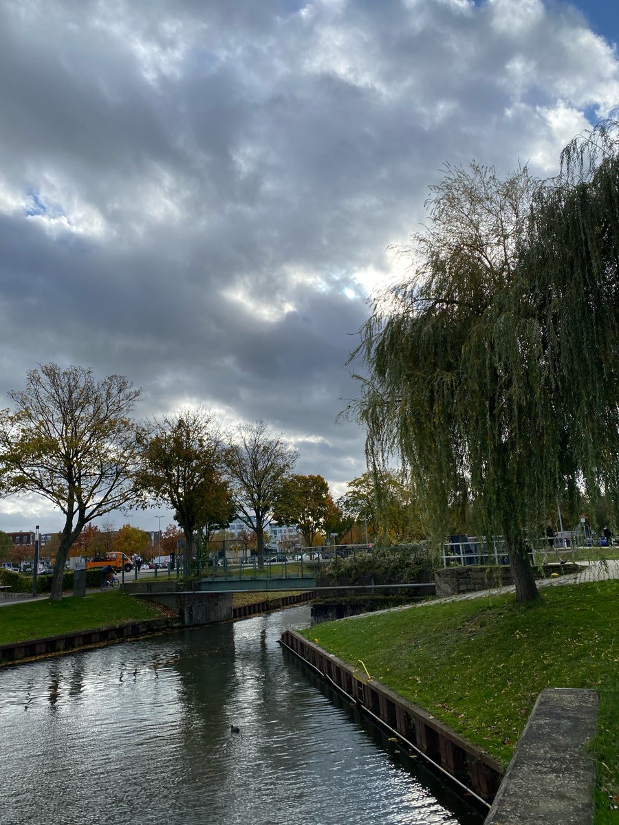 That's a wrap on our second F2F meeting in Kleve. We've been talking all things drain biofilm and antimicrobial resistance and are looking forward to the next few months of work before Christmas! Find out more on our website #antimicrobialresistance #biofilm #combatAMRconsortium