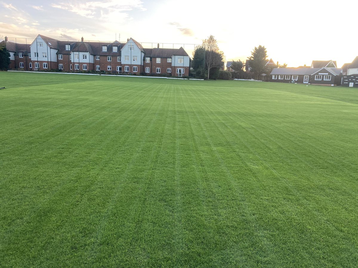 Jamie Foyster tweet media