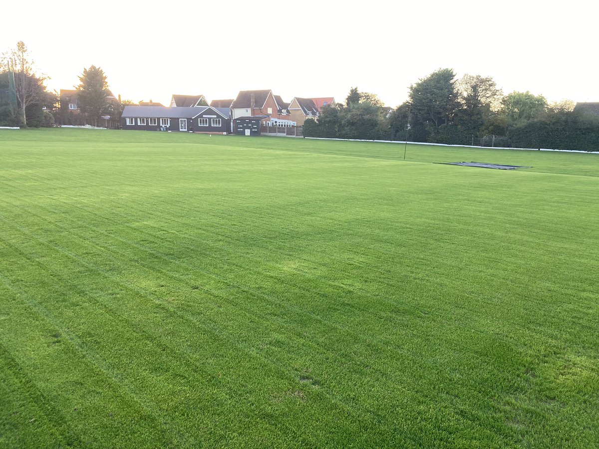 Jamie Foyster tweet media