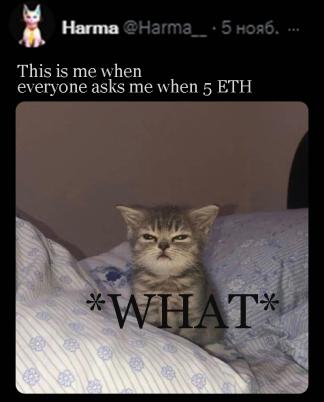 evaneskate's tweet photo. Best Harecrypta memes / Лучшие мемы Харекрипта
#NFTs #Zealy #Memes #HareCrypta #HareCryptaFun https://t.co/b4J1hgsvon