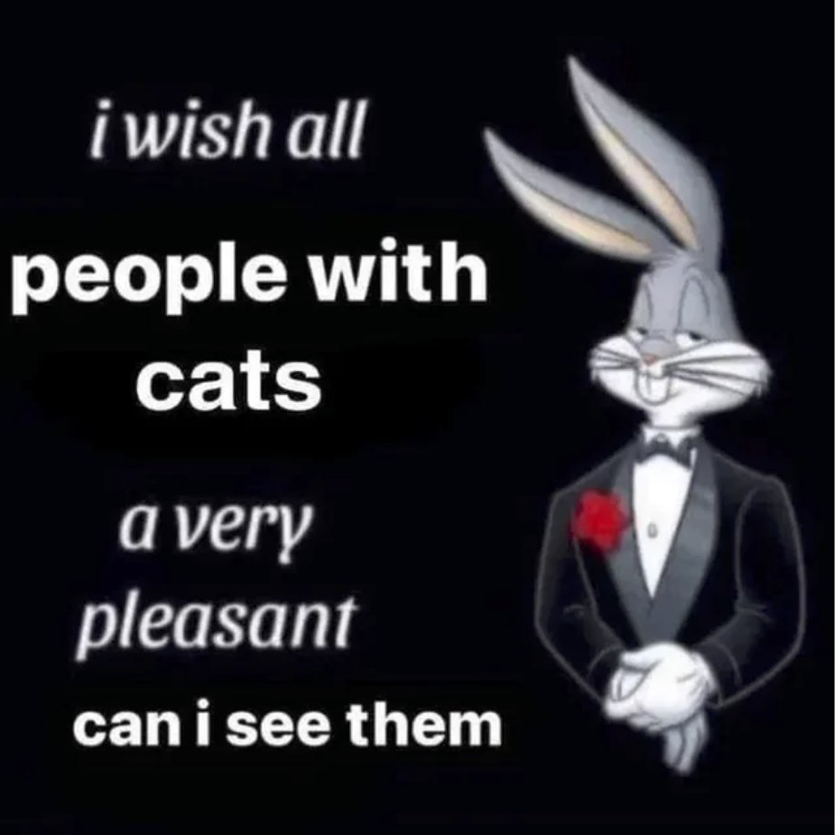 Respectful Memes tweet media