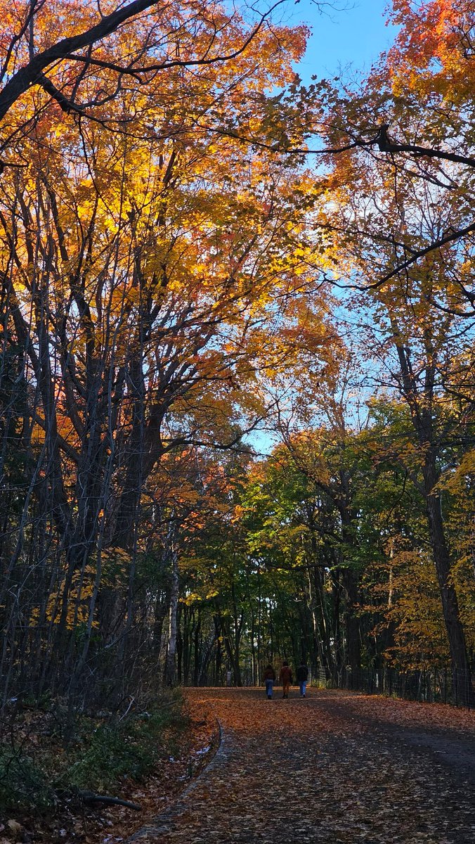 Dr Marine Malet (@malet_marine) on Twitter photo J'ai été ravie de pouvoir assister et participer la semaine dernière au très beau colloque Plateformes et Usages organisé à <a href="/UMontreal/">Université de Montréal</a> ! Merci aux organisateurs et participants pour ce programme d'une grande richesse et ces présentations très stimulantes J'ai été ravie de pouvoir assister et participer la semaine dernière au très beau colloque Plateformes et Usages organisé à <a href="/UMontreal/">Université de Montréal</a> ! Merci aux organisateurs et participants pour ce programme d'une grande richesse et ces présentations très stimulantes