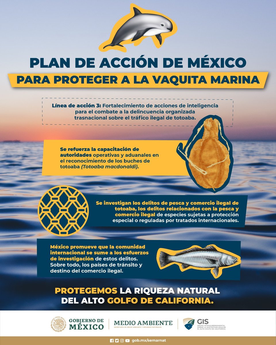 El Plan de Acción de México para Proteger a la Vaquita Marina México ...