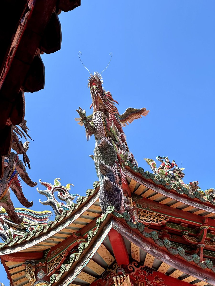 Emma Collins tweet media