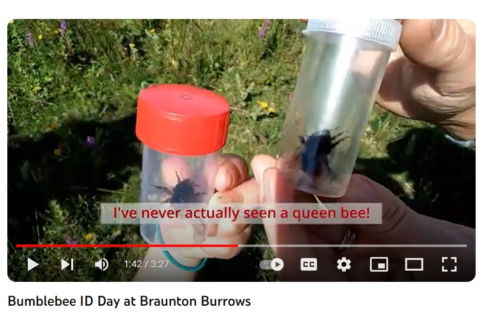 West Country Buzz (@buzzingdevon) on Twitter photo 🎥🐝Throwback to our August Bumblebee ID Day on Braunton Burrows with this fantastic video created by <a href="/CentreBraunton/">BrauntonCountrysideCentre</a> Connect 2 Nature: youtube.com/watch?v=pPHW0J…
<a href="/BumblebeeTrust/">Bumblebee Conservation Trust</a> 🎥🐝Throwback to our August Bumblebee ID Day on Braunton Burrows with this fantastic video created by <a href="/CentreBraunton/">BrauntonCountrysideCentre</a> Connect 2 Nature: youtube.com/watch?v=pPHW0J…
<a href="/BumblebeeTrust/">Bumblebee Conservation Trust</a>