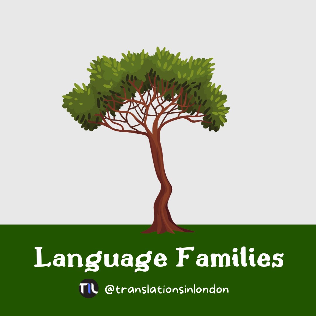 TranslationsInL's tweet photo. Happy #MultilingualMonday! 🗣️ Let's dive into the incredible world of language diversity and similarities among languages belonging to the same #linguisticfamily! 

What similarities have you discovered among #languages from the same family? #TranslationsInLondon #TIL #familytree https://t.co/Yf7rs49RBA