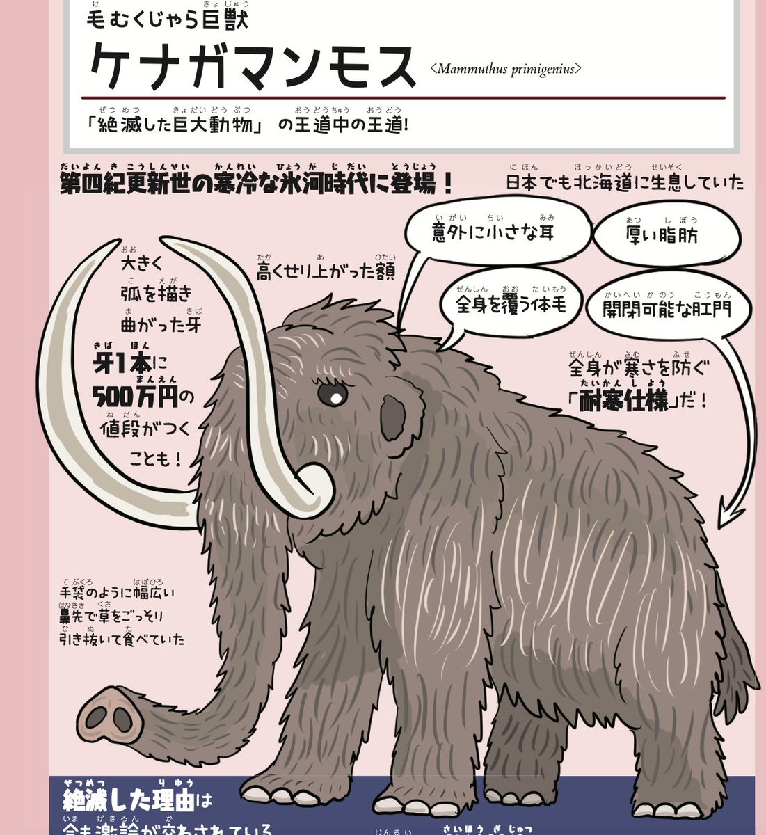 『北極百貨店のコンシェルジュさん』、ご来店する絶滅動物のお客様をほぼ全員『絶滅どうぶつ図鑑』で図解済みだったので笑う。副読本としてまさかの自著をオススメせざるをえない状況になるとは…