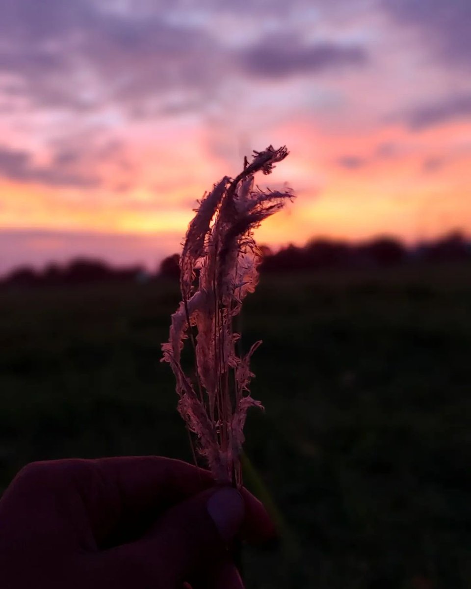 Beautiful things are waiting for you to discover