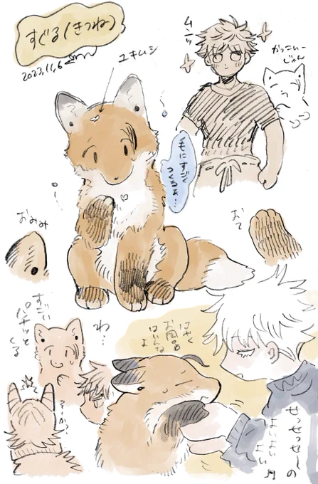 すぐる(キツネ)とさとる(コイヌ) 