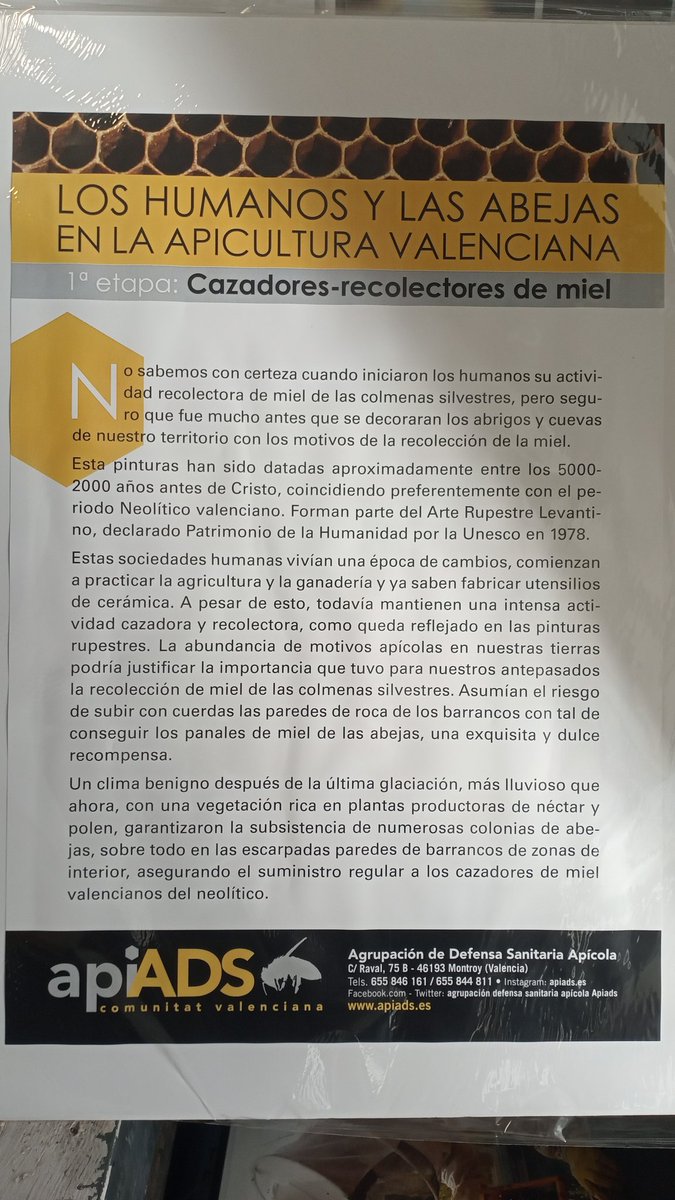 Apiads C.V tweet media