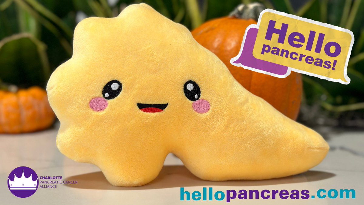 To know your pancreas is to L💜VE your hard working organ buddy.  Click the link and say "Hello Pancreas" today! 

hellopancreas.com

#HelloPancreas #Pancreas #KnowYourBody #Anatomy #Health #WPCD #CharlotteNC #NorthCarolina #SouthCarolina