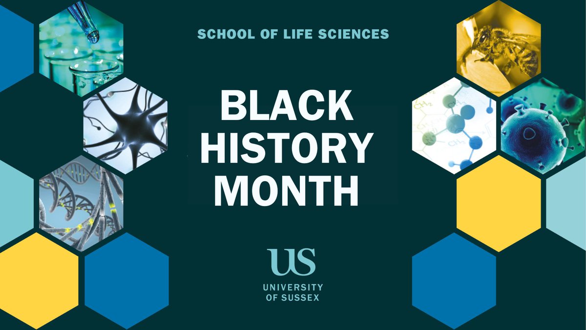 SussexLifeSci's tweet photo. Thanks to everyone who participated at 'What can a PhD do for me?' today!👏 To celebrate this year's #BlackHistoryMonth✊🏾, this online workshop aimed to encourage under-represented Black and minority ethnic (BME) students to consider doing a PhD. 

#Equality #Diversity #Inclusion https://t.co/NZzVbzvXxV