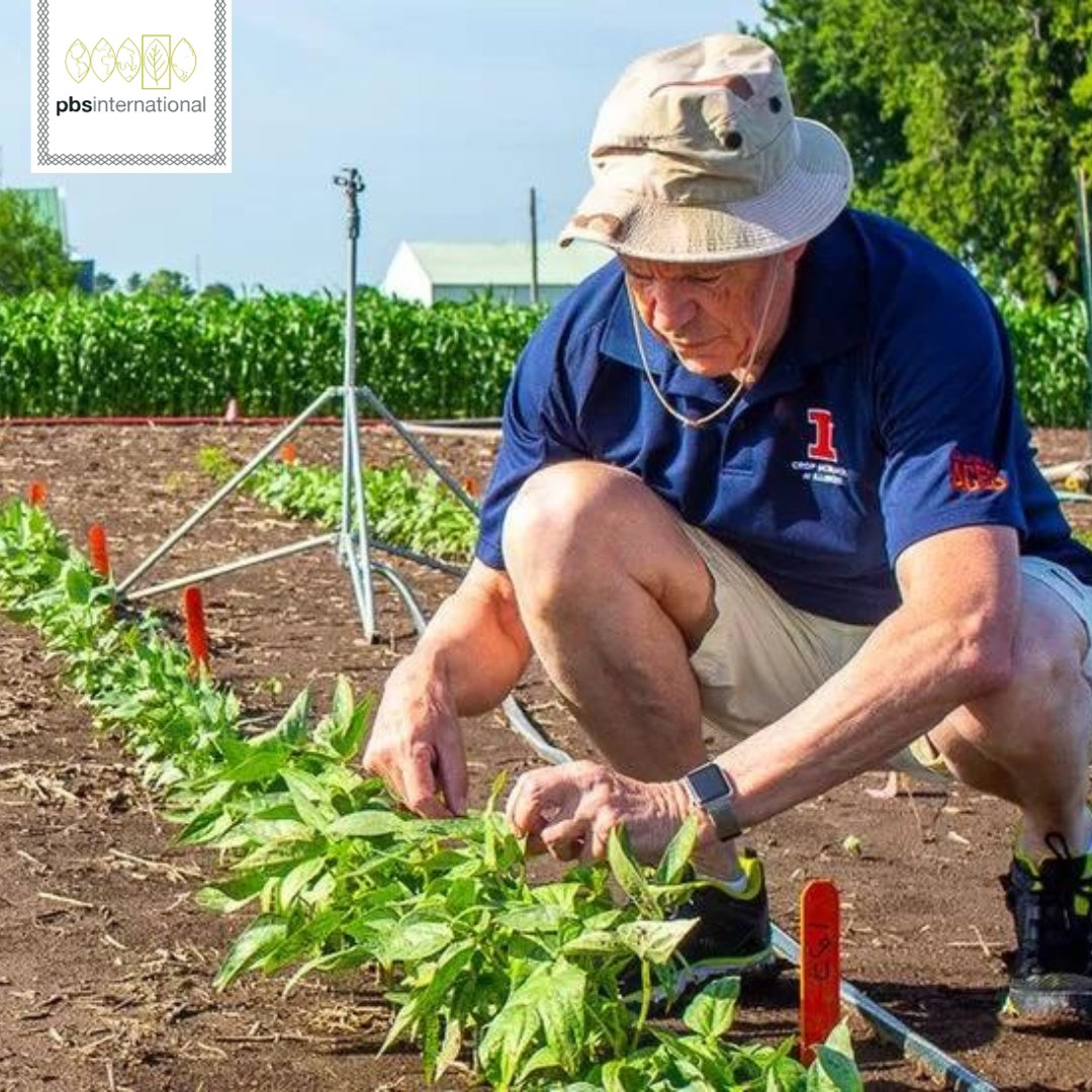 PBS International (@pbsint) on Twitter photo Researchers are stepping up to improve food production 🌱
To do this they are focussing on photosynthesis efficiency in crops like wheat and soybeans. The goal is to make crops more efficient at converting light into energy.
More here: bbc.in/48PO1wK
📸: <a href="/UofIllinois/">University of Illinois</a> Researchers are stepping up to improve food production 🌱
To do this they are focussing on photosynthesis efficiency in crops like wheat and soybeans. The goal is to make crops more efficient at converting light into energy.
More here: bbc.in/48PO1wK
📸: <a href="/UofIllinois/">University of Illinois</a>