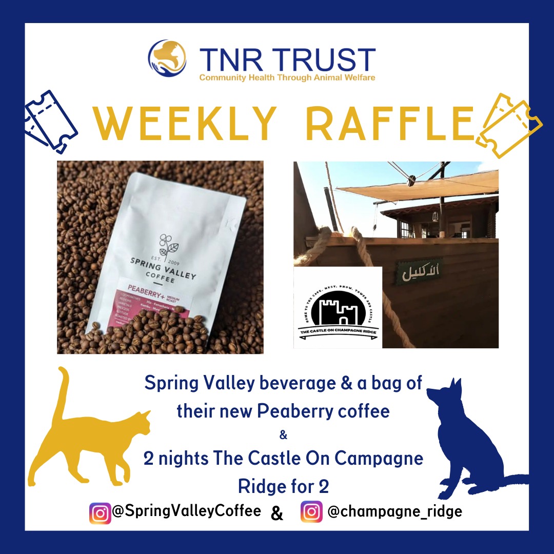 2 Prizes this week! Bought your tickets yet? To buy your tickets, use Mpesa Paybill: 921408 with the account 'Weekly Raffle.' * 1 Ticket: 500 KSH * 5 Tickets: 2000 KSH * 15 Tickets: 5000 KSH #tnrtrustnairobi #helperrabieseradication #kickrabiesoutofkenya