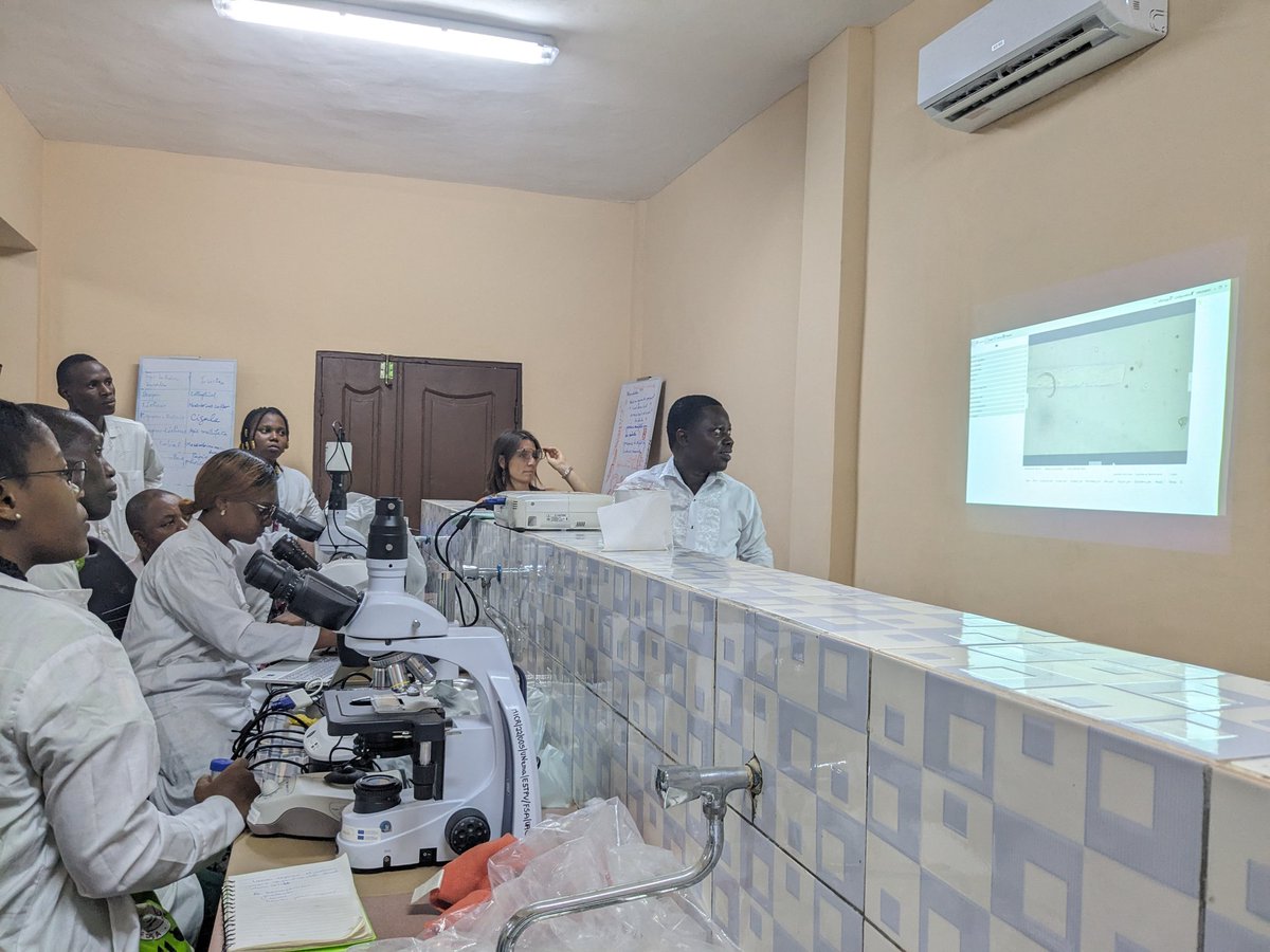 LZurletto's tweet photo. Onsite #pratical training with state-of-the-art equipment to collect, extract, observe and quantify #parasitic #nematodes with master students from Univ. Abomey-Calavy 🧫 🔬🪱 A collab. btw French speaking research & teaching institutions among @Nemedussa consortium. https://t.co/Nfo5niJ0hk