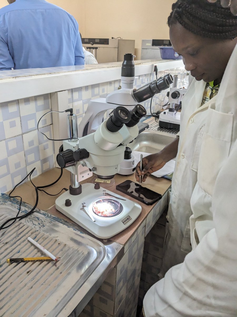 LZurletto's tweet photo. Onsite #pratical training with state-of-the-art equipment to collect, extract, observe and quantify #parasitic #nematodes with master students from Univ. Abomey-Calavy 🧫 🔬🪱 A collab. btw French speaking research & teaching institutions among @Nemedussa consortium. https://t.co/Nfo5niJ0hk