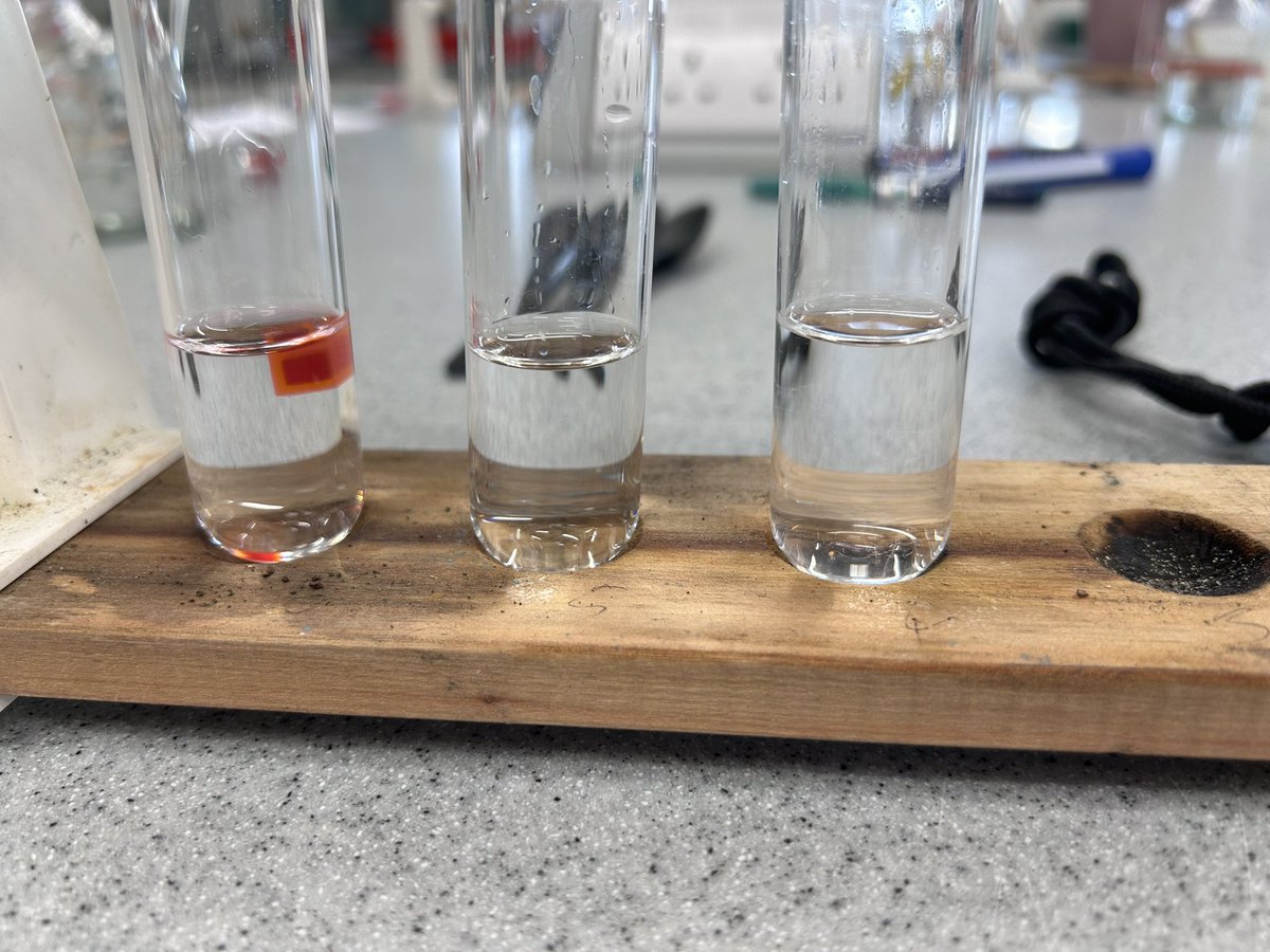 (っ◔◡◔)っ Jacqueline 🌙 tweet media