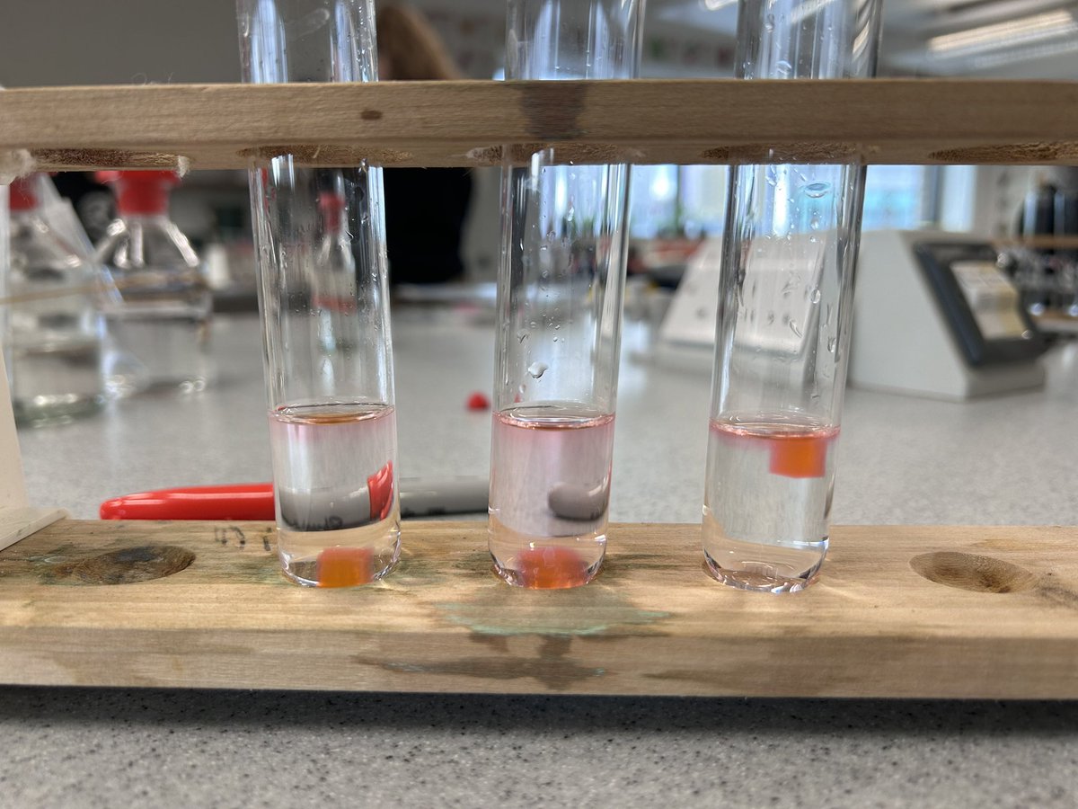 (っ◔◡◔)っ Jacqueline 🌙 tweet media