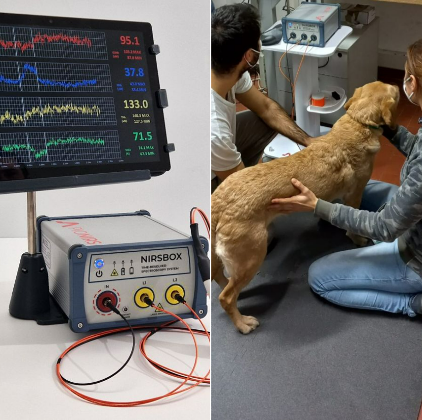 Non-invasive estimation of in vivo optical properties and #hemodynamic parameters of domestic #animals: 

#horses #dogs and #sheep 

A new #fNIRS study on <a href="/FrontVetScience/">Frontiers - Veterinary Science</a>
#veterinary #oximetry

frontiersin.org/articles/10.33…