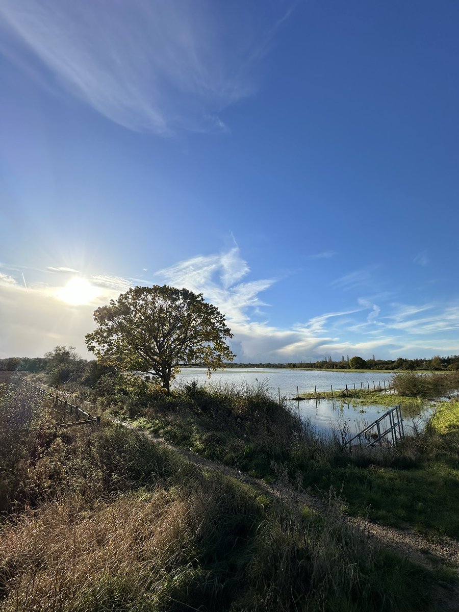 I apricated on my morning walk. ☀️