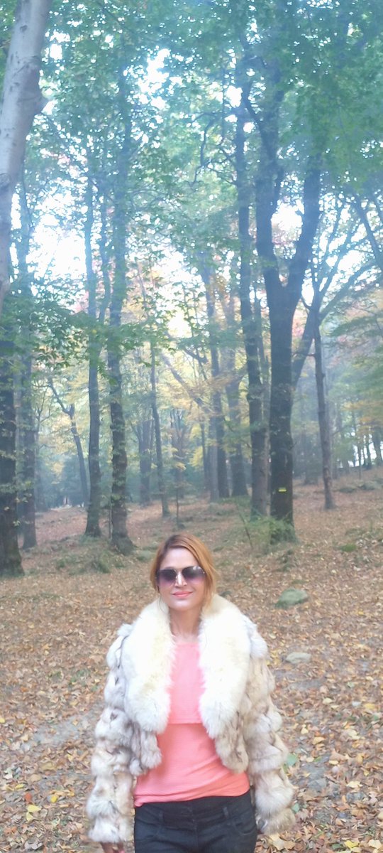 ash4intelways's tweet photo. #Autumn #winter #fall #leaves of fulfillment #contentment flying with winds of #tranquility serenity #divineconnect #forest fresh air #fur #empress #fairytale everyday routine #trek living in #nature #akhandanand pure #bliss blessings #mountains #Himalayas #manali #himachal https://t.co/XXMsnt3oCg