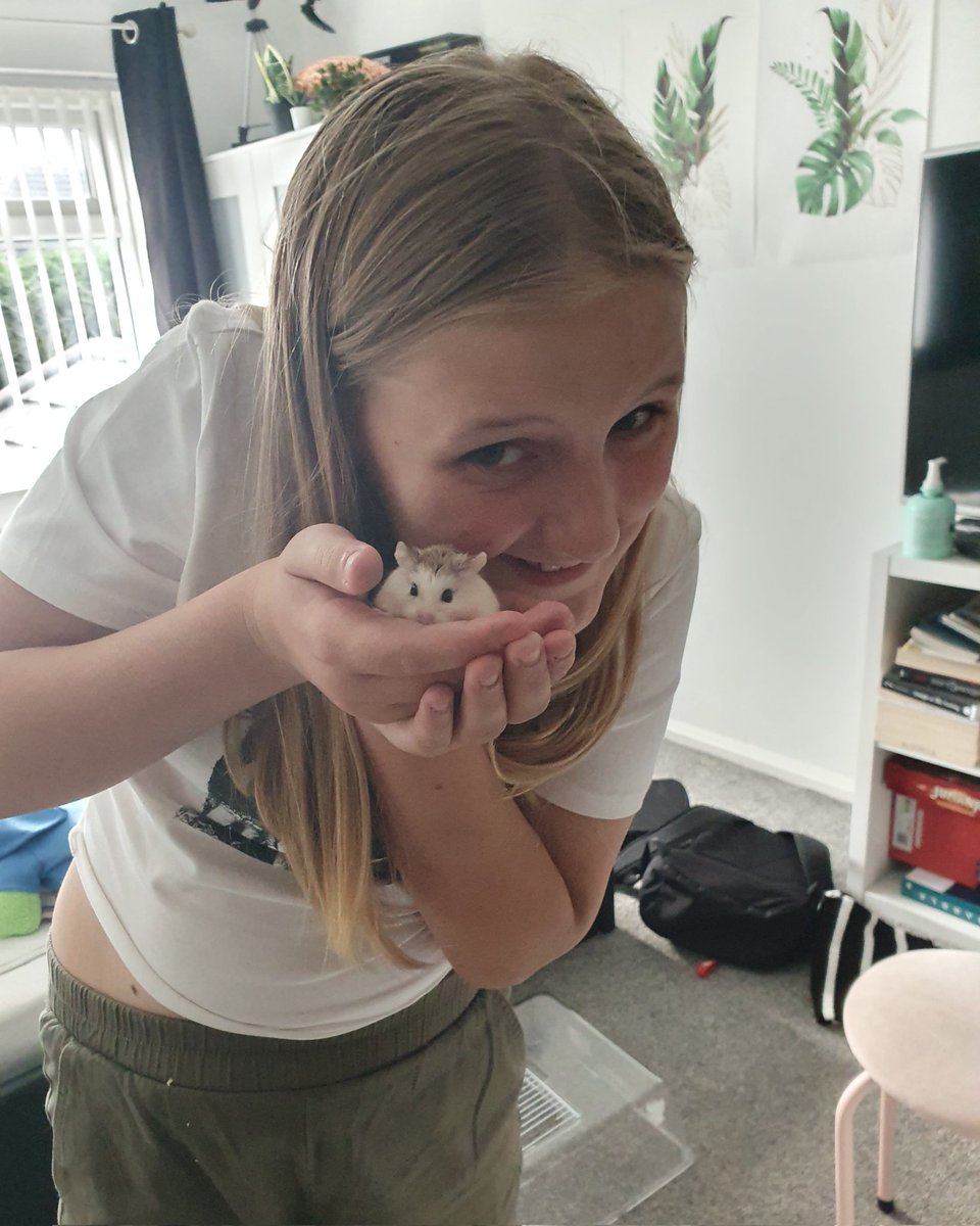 VickySl17's tweet photo. @HolySpiritWA9 we have loved having pumpkin spice over the holidays. He's such a lovely friendly fluffy hampster https://t.co/rNBK5vc5Ro
