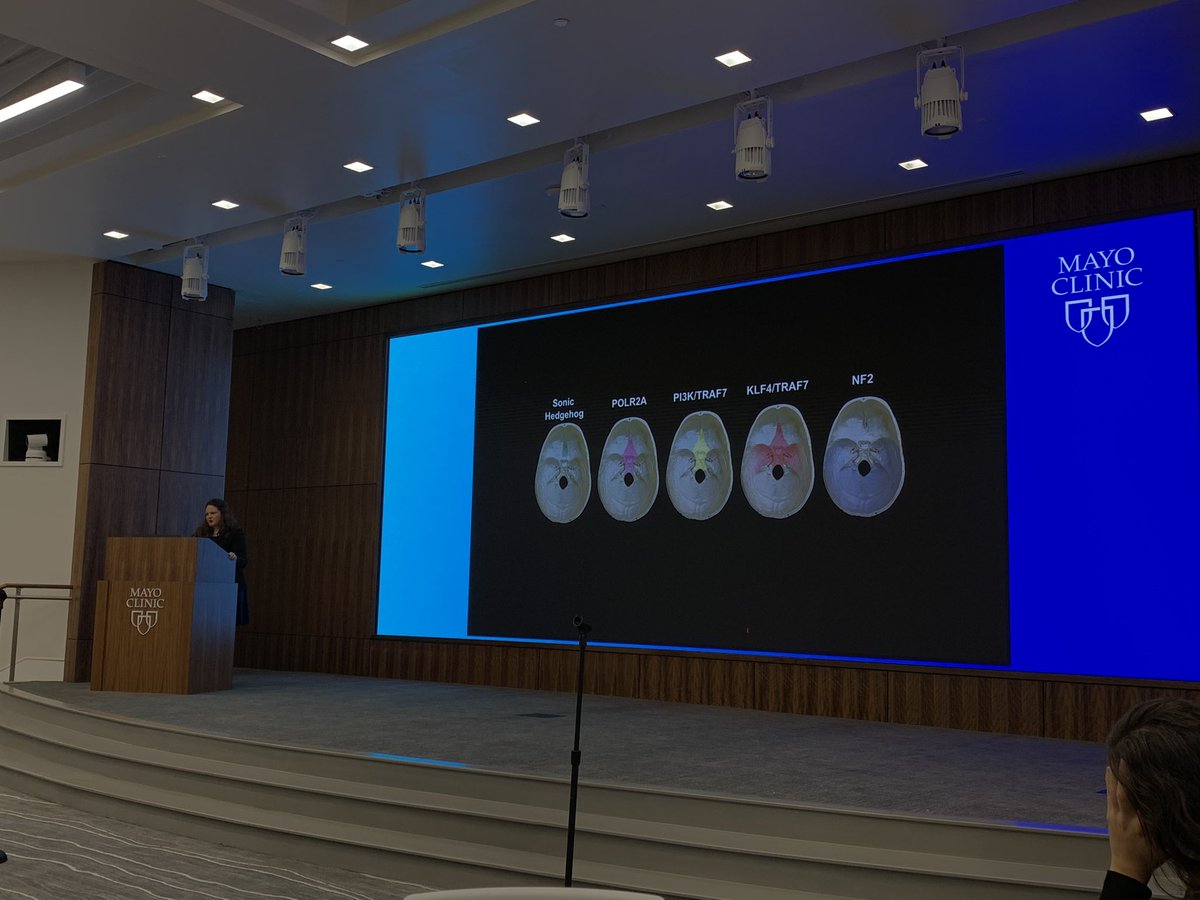 Juan P. Navarro-Garcia de Llano, MD tweet media