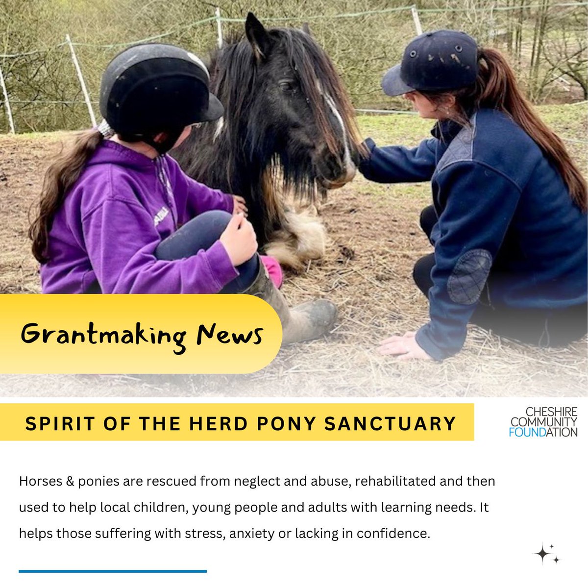 We’re proud to award grants to charities and organisations in Cheshire & Warrington. In the spotlight this week is @spiritherd Pony Sanctuary 🐴 Allowing people of all ages with physical, mental and emotional challenges to improve confidence & self-esteem #Cheshire