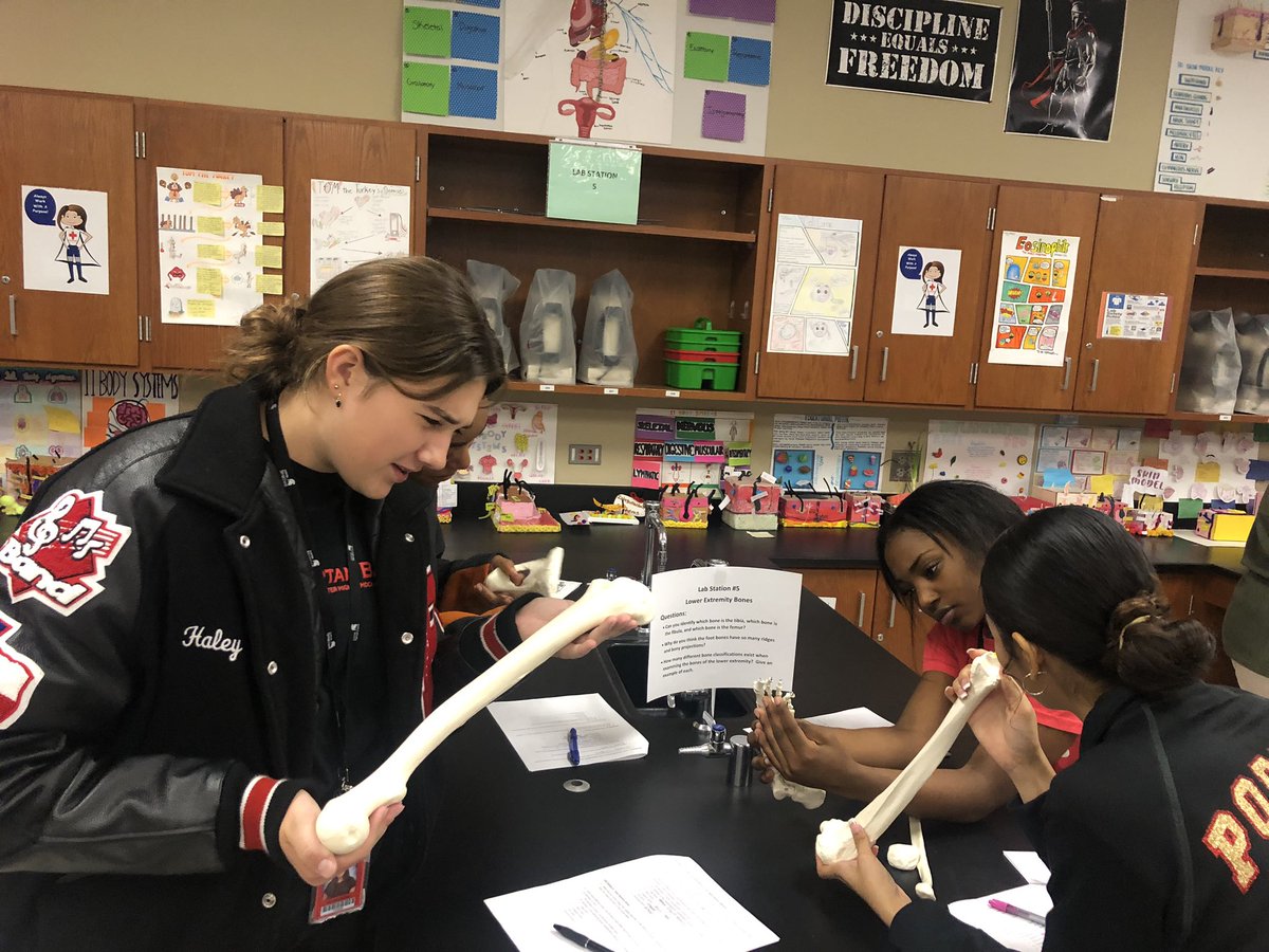 PhsReece's tweet photo. PHS Anatomy and Physiology Honors’ students embark on their journey into the Skeletal System, exploring the bones that make up their body’s framework!  @PorterSpartans @condarco_cesar @CTENCISD https://t.co/ntXt7AHpac